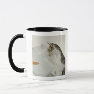 Taza Gato que mira pescados en fishbowl