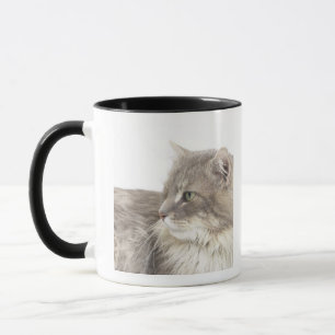 Taza Gato que se acuesta