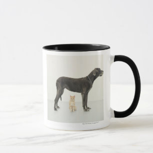 Taza Gato que se sienta debajo de great dane