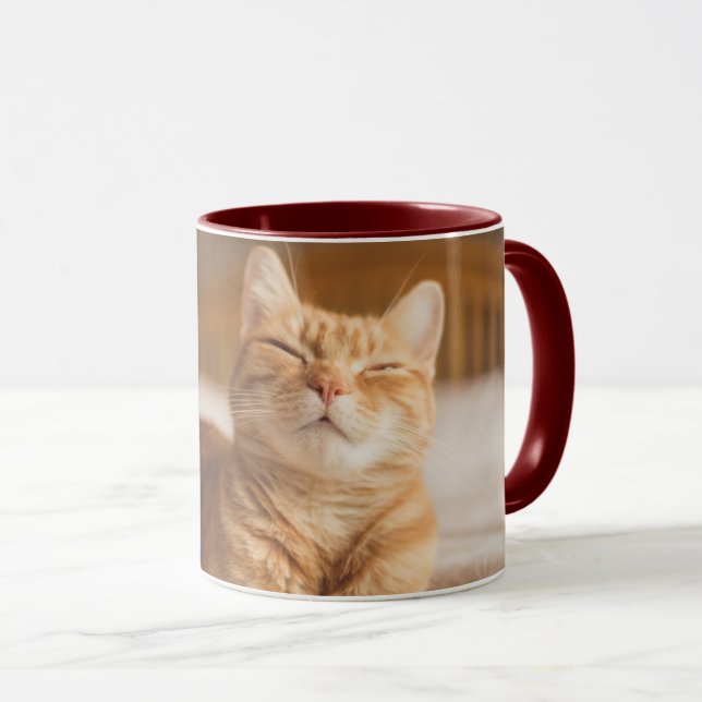 Taza Gato soñoliento de las imágenes el | de Getty (Anverso derecho)