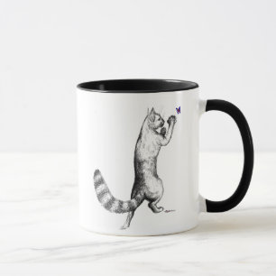 Taza Gato Springs
