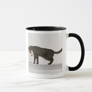 Taza Gato y goldfish