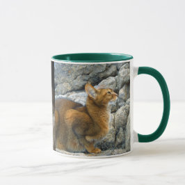 Taza Gatos abisinos