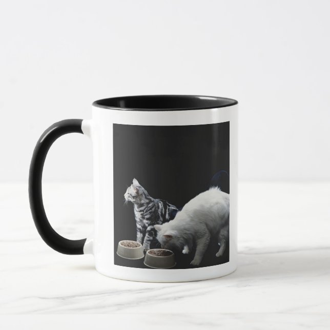 Taza Gatos con el cuenco de comida (Izquierda)