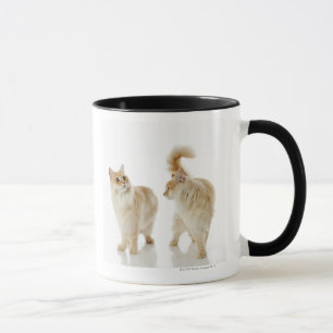 Taza Gatos de Munchkin