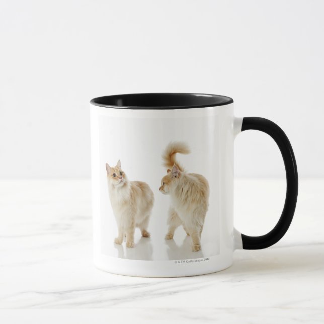 Taza Gatos de Munchkin (Derecha)