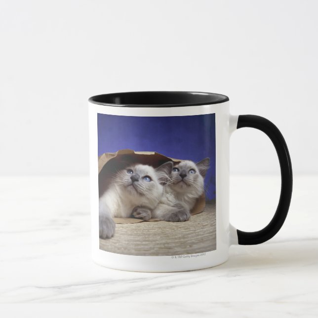 Taza Gatos en bolsa de papel (Derecha)