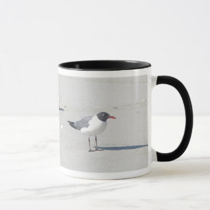 Taza Gaviota De Riego 11 Oz Mug