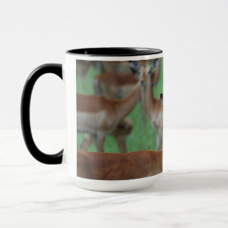 Taza Gazella