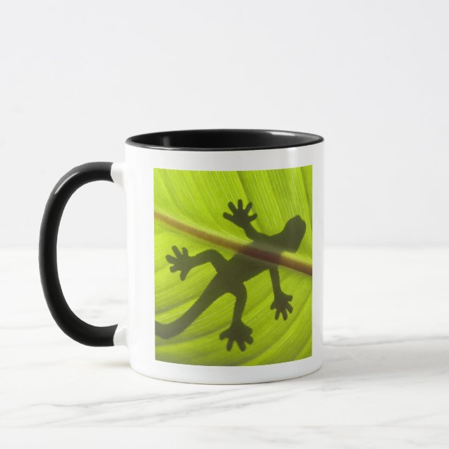 Taza Gecko (Izquierda)