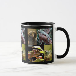Taza Gecko lagartos y Chameleons