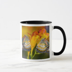 Taza Gemelas Mariposas Tropicales