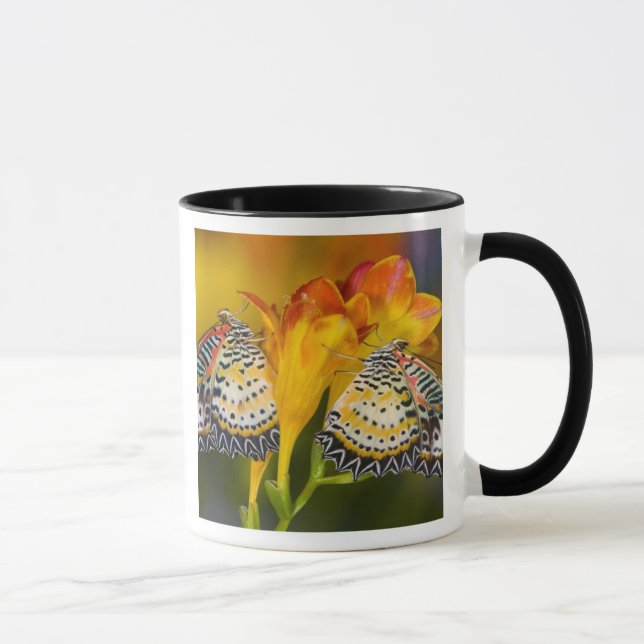 Taza Gemelas Mariposas Tropicales (Derecha)