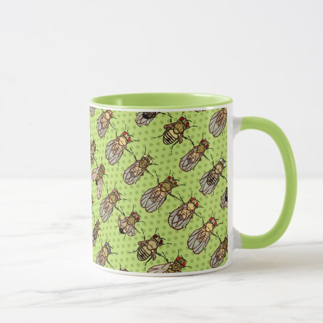 Taza Genética de la mosca del vinagre de la Drosophila (Derecha)