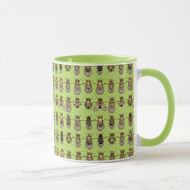 Taza Genética de la mosca del vinagre de la Drosophila (Derecha)