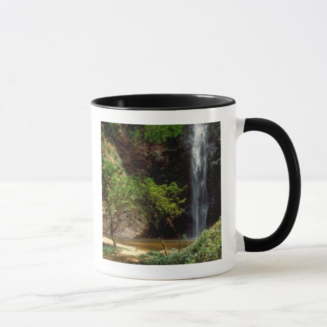 Taza Ghana: Wli Falls, alias Cataratas Agumatsa (Volta) (Derecha)
