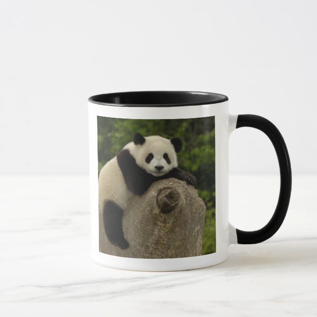 Taza Gigante panda baby (Derecha)