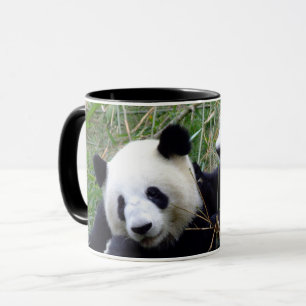 Taza Gigante Panda osos comiendo bambú y amor (diverti