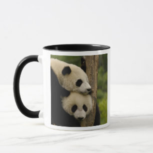 Taza Gigantes pandas bebés Ailuropoda melanoleuca)