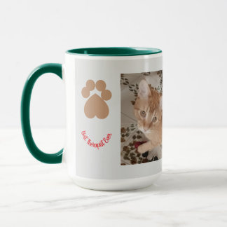 Taza Ginger kitten 2 photos, best therapist, 