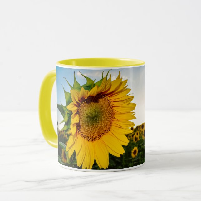 Taza Girasol (Anverso izquierdo)