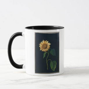 Taza Girasol