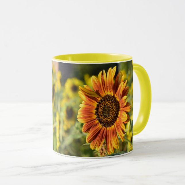TAZA ¡GIRASOL DESTACADO! (Anverso derecho)