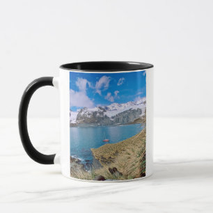 Taza Glaciares y veleros en segundo plano