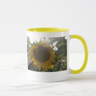 Taza Goce del SOL (flor)… - >