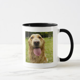 Taza Golden retriever 4