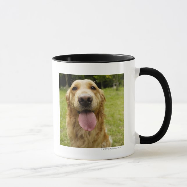 Taza Golden retriever 4 (Derecha)