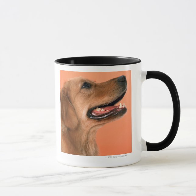 Taza Golden retriever 7 (Derecha)