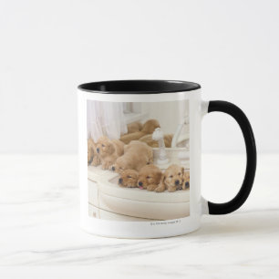 Taza Golden retriever; es un relativamente moderno y 2
