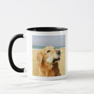 Taza Golden retriever que come el hueso
