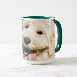 Taza Goldendoodle