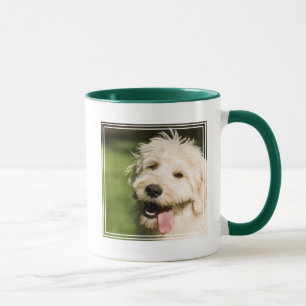 Taza Goldendoodle