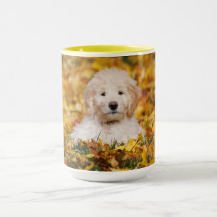 Taza Goldendoodle Cachorro En Hojas Caídas