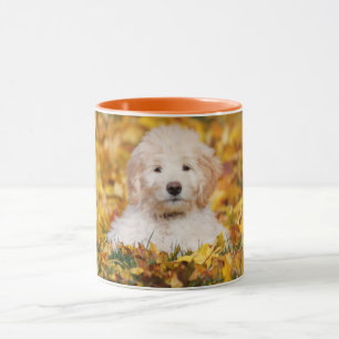 Taza Goldendoodle Cachorro En Hojas Caídas