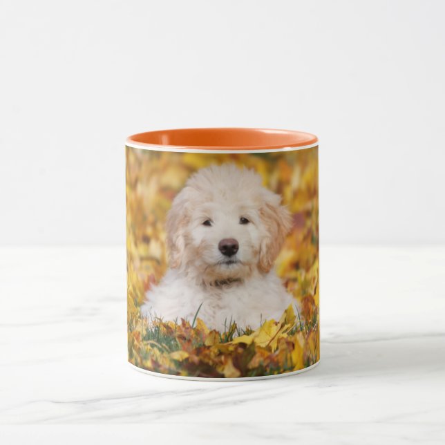 Taza Goldendoodle Cachorro En Hojas Caídas (Centro)