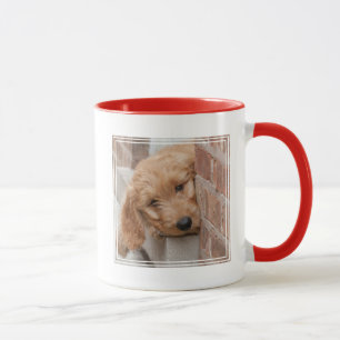 Taza Goldendoodle cachorro picado