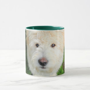 Taza Goldendoodle Puppy Mirando Cámara