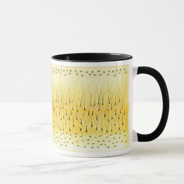 Taza Golgi remezcla (Derecha)