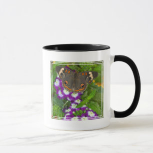 Taza Golondrina Negra