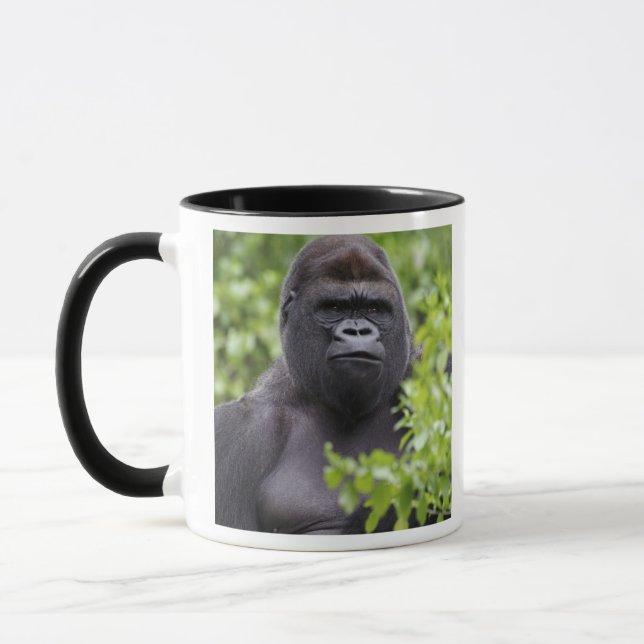 Taza Gorila de llanura con espalda plateada, Gorilla go (Izquierda)