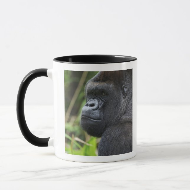 Taza Gorila Lowland de Silverback, cautivo de gorilas (Izquierda)