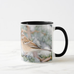 Taza Gorrión de árbol americano en invierno