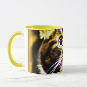 Taza Graciosa foto de un gato gracioso. ¡Hazte con una