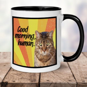 Taza Gracioso Cat Mug Fotografía de gato enmascarada