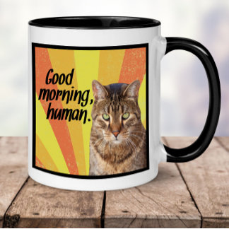 Taza Gracioso Cat Mug | Fotografía de gato enmascarada 