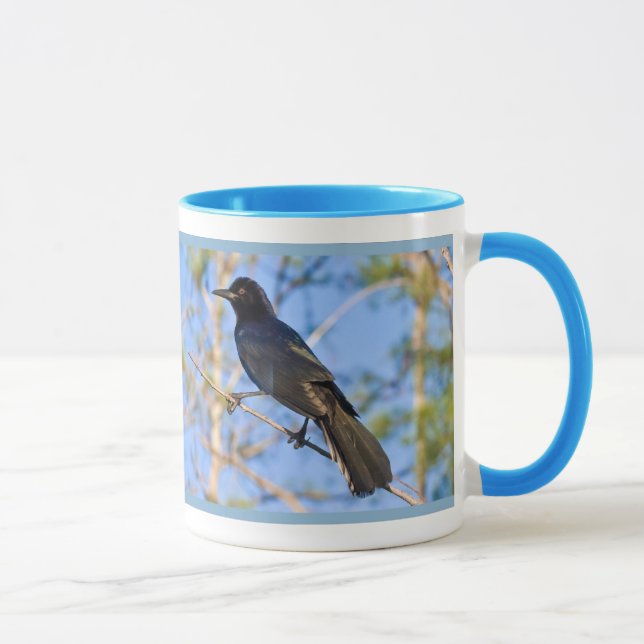 Taza Grackle Barco-atado (Derecha)